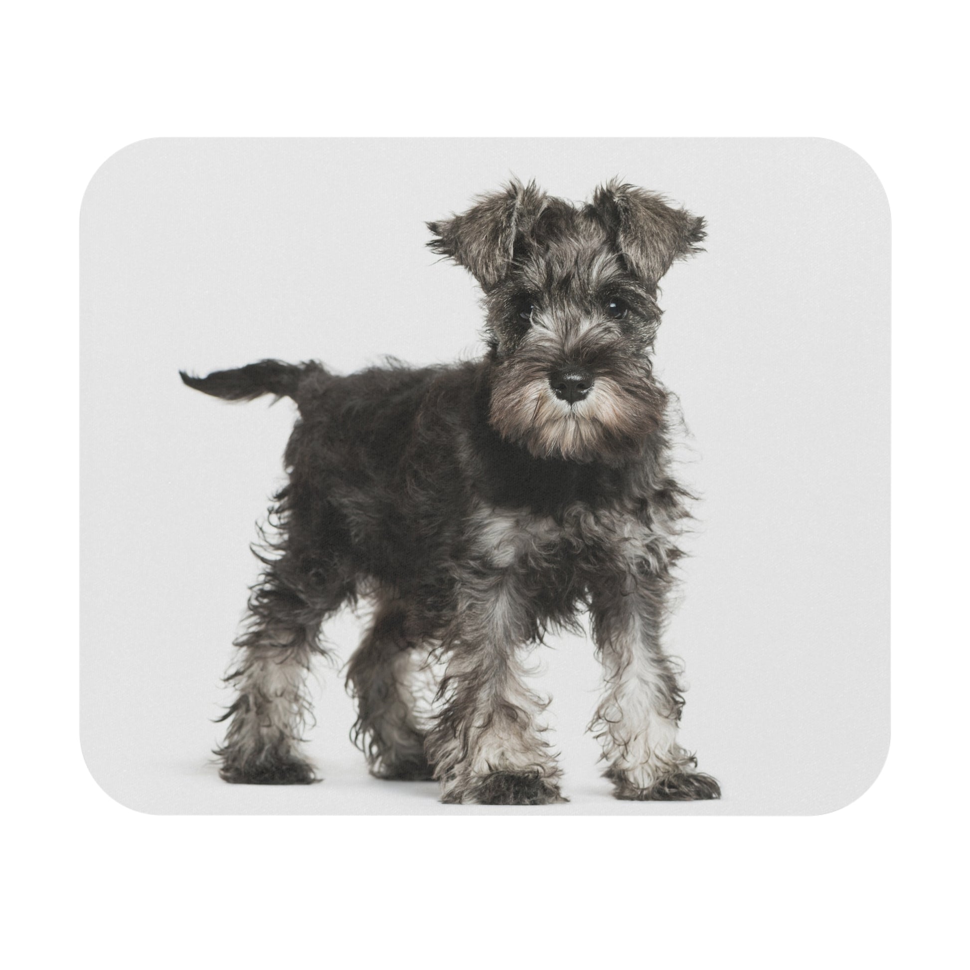 Schnauzer Mouse Pad (Rectangle)