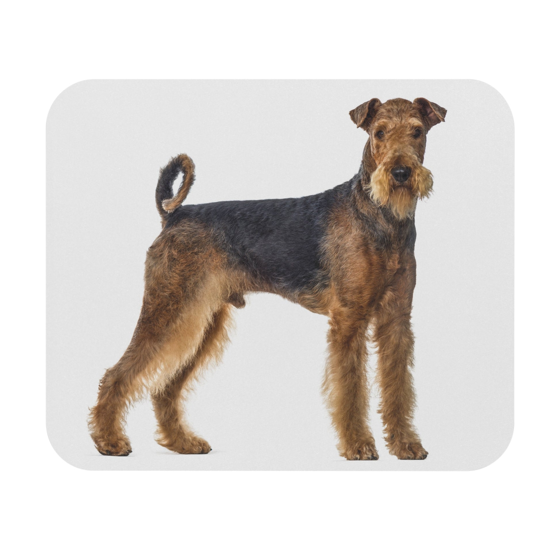 Airedale Mouse Pad (Rectangle)