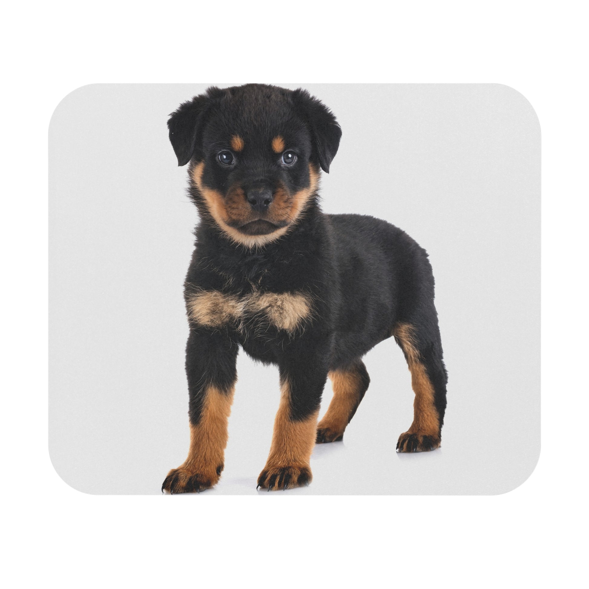Rottweiler Mouse Pad (Rectangle)