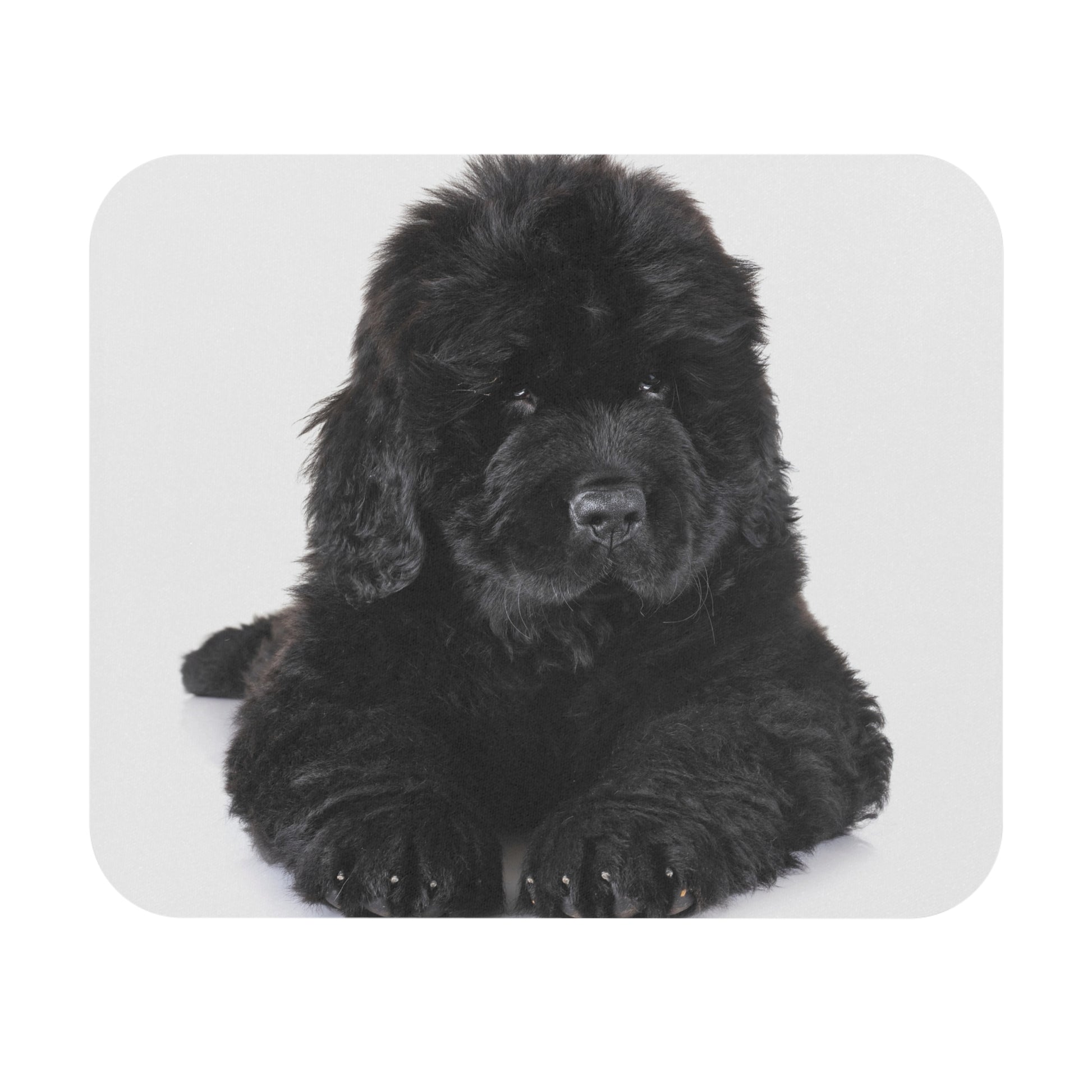 Newfoundland Mouse Pad (Rectangle)