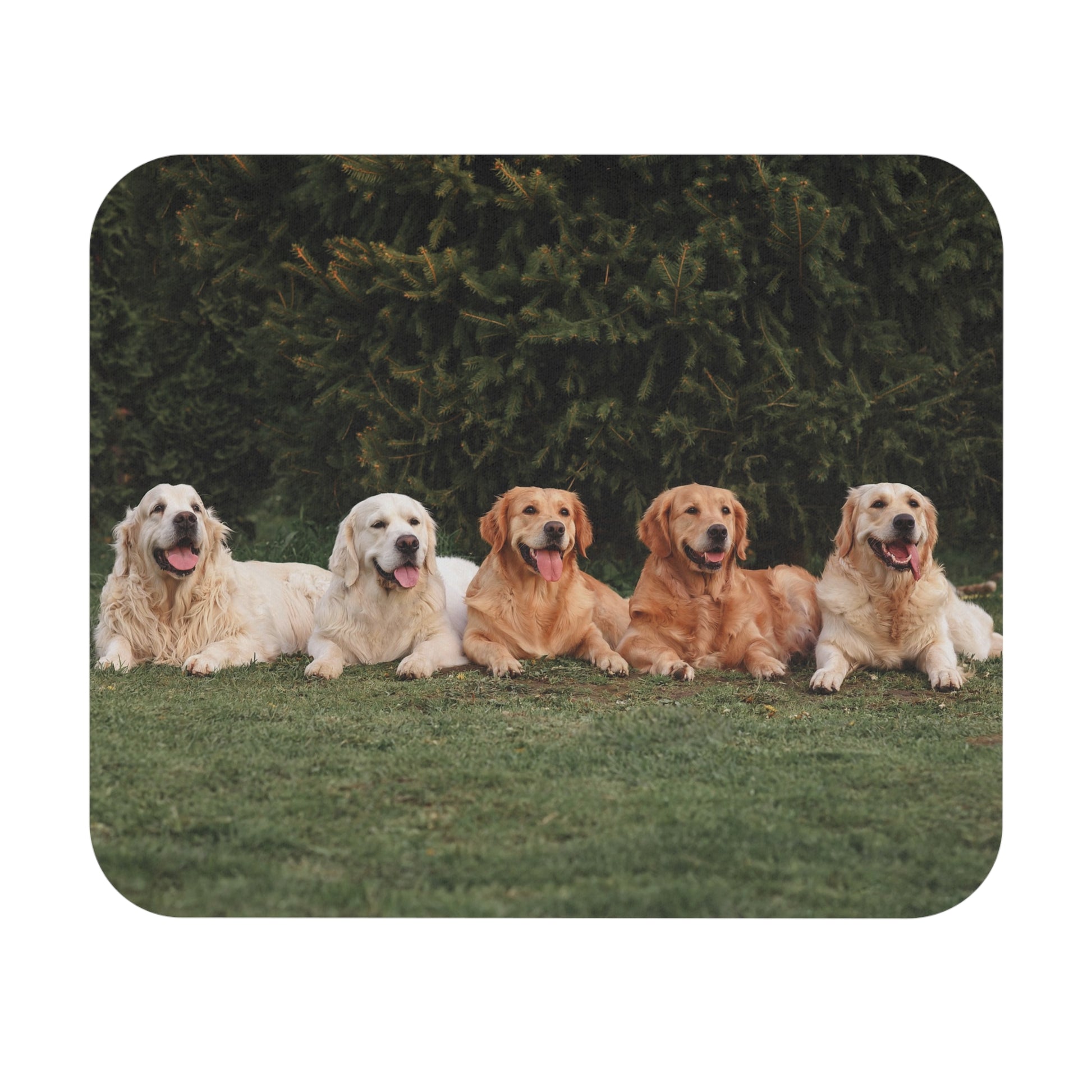 Golden Retrievers Mouse Pad (Rectangle)