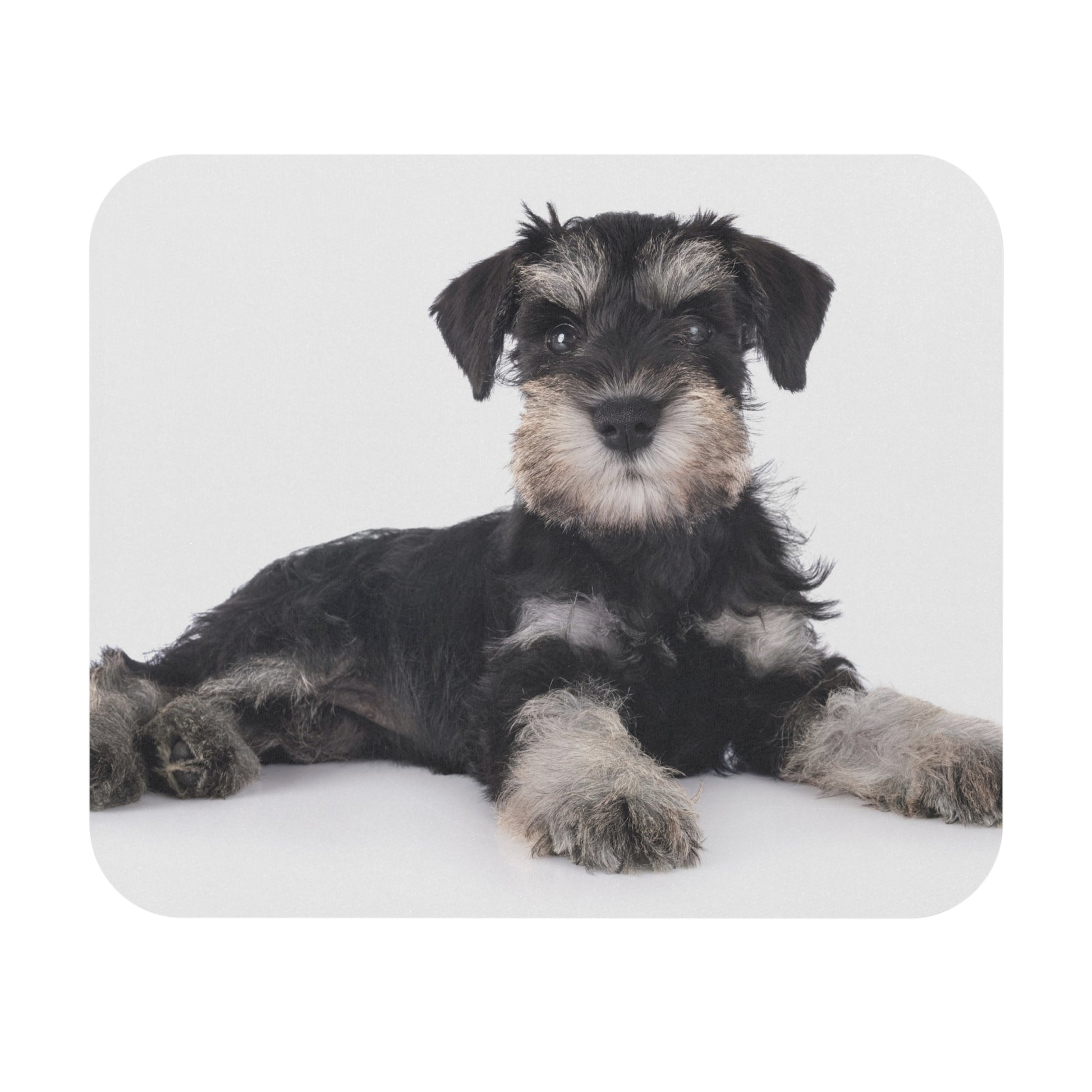 Schnauzer Mouse Pad (Rectangle)