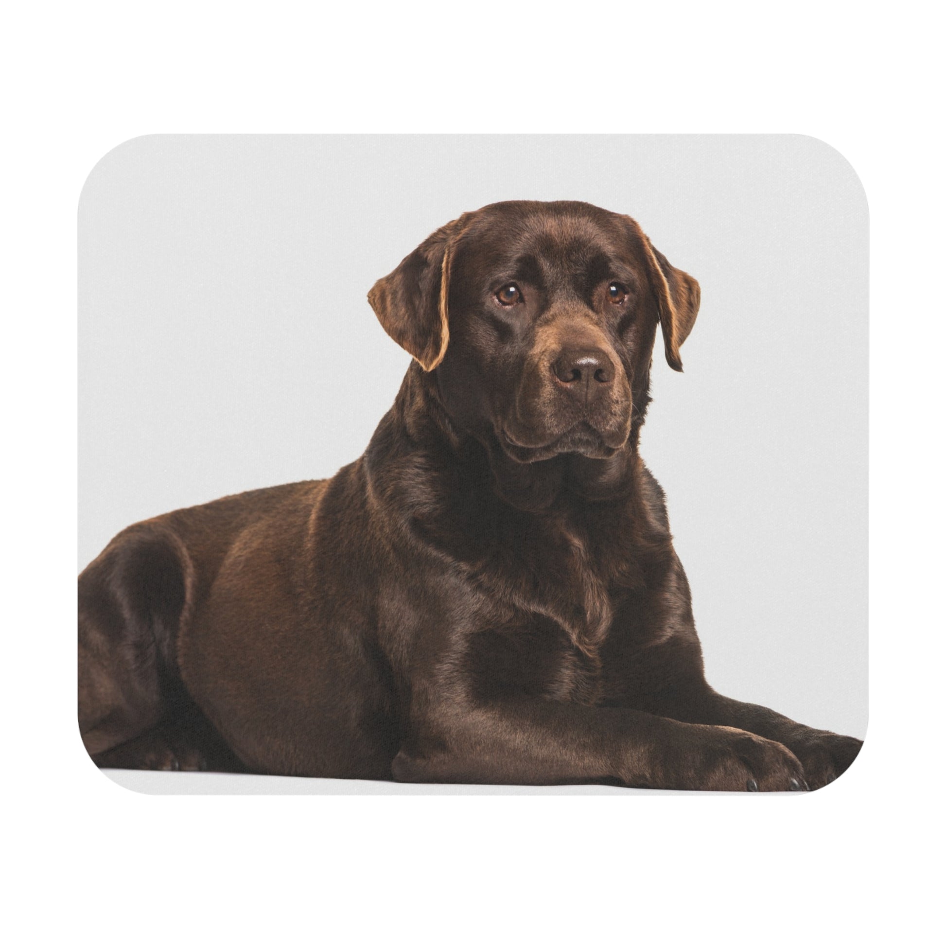 Labrador Retriever Mouse Pad (Rectangle)