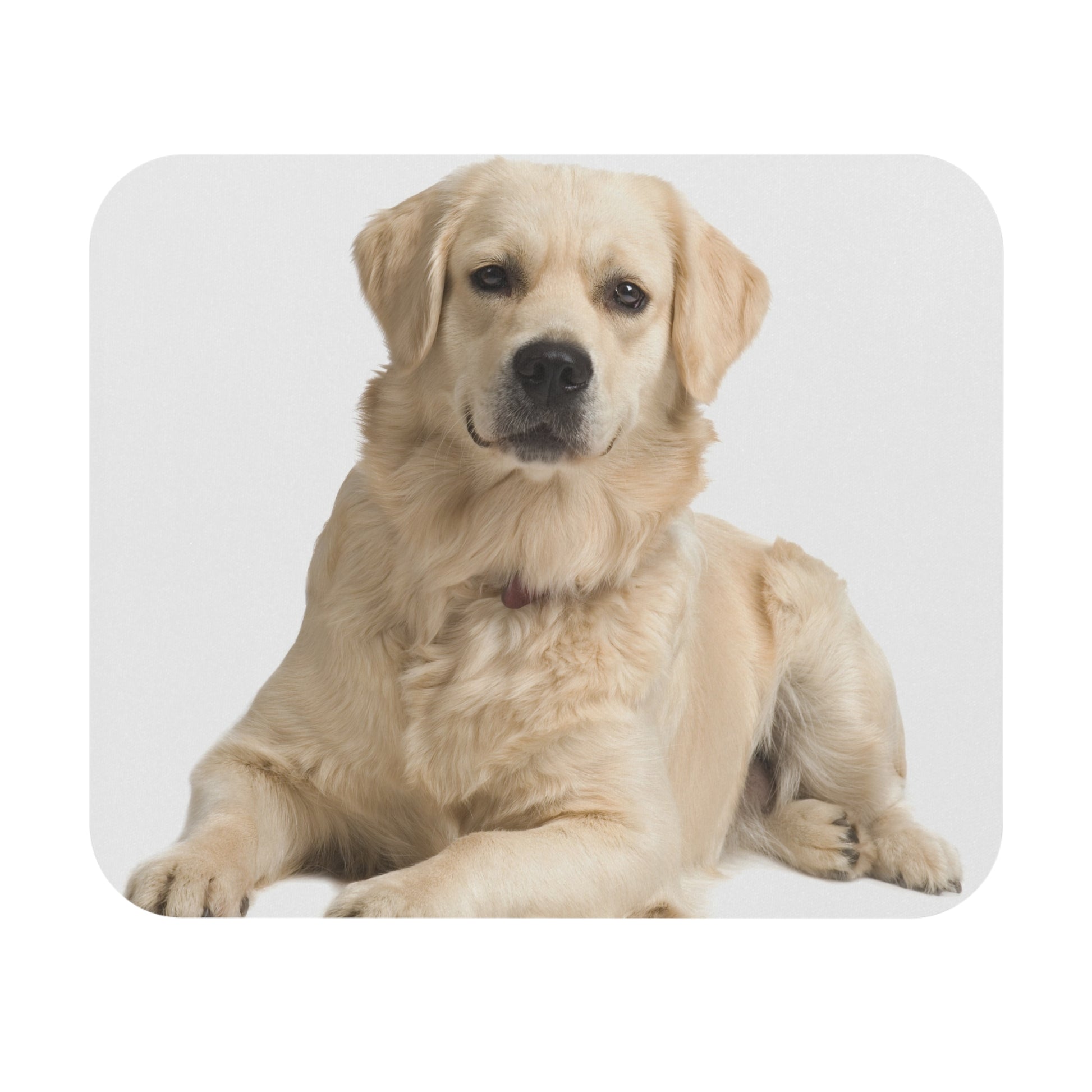 Labrador Retriever Mouse Pad (Rectangle)