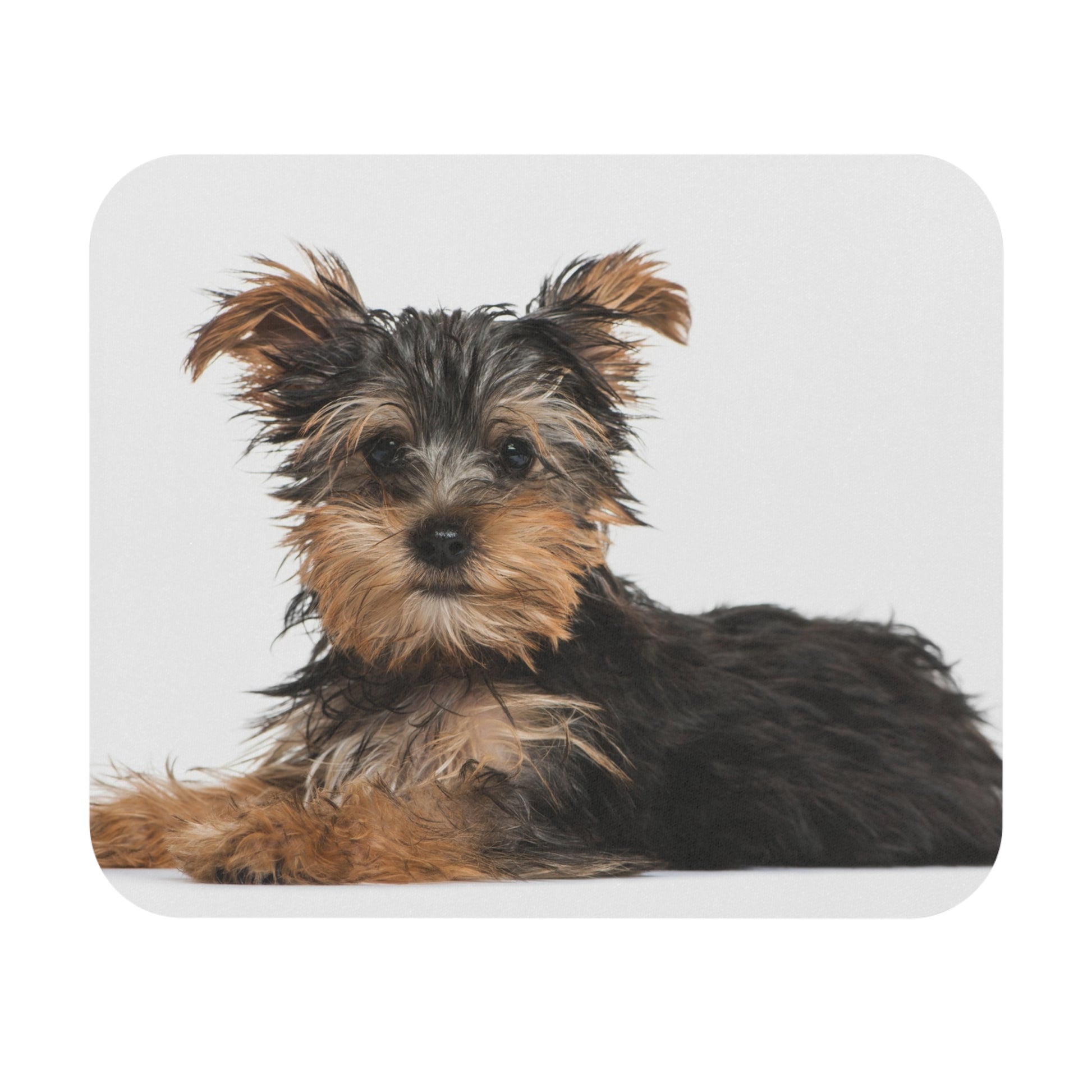 Yorkshire Terrier Mouse Pad (Rectangle)