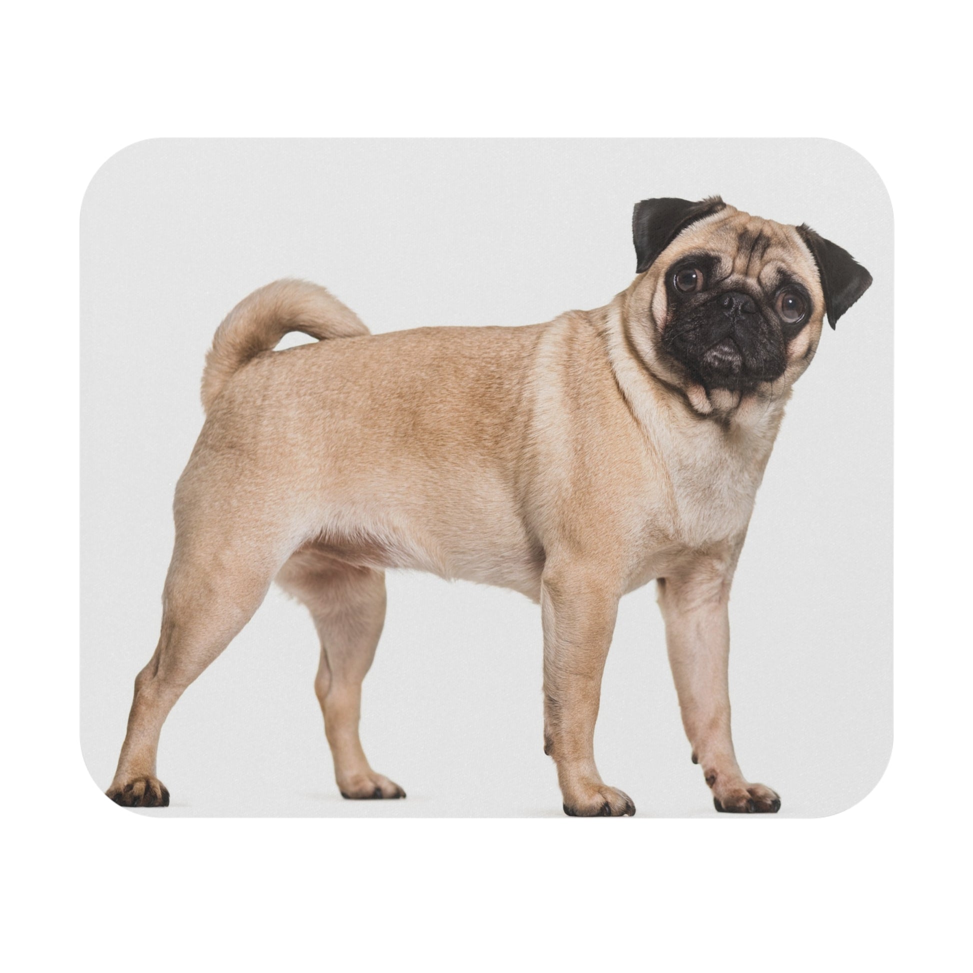 Pug Mouse Pad (Rectangle)