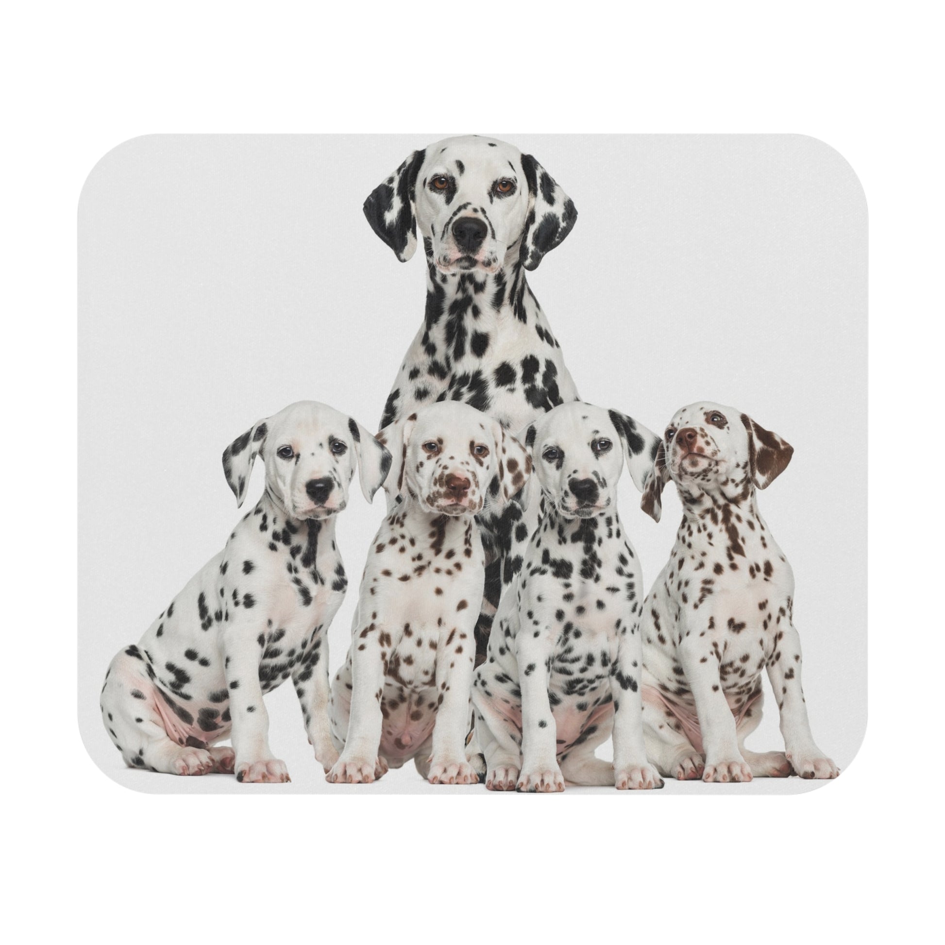 Five Dalmatians Mouse Pad (Rectangle)