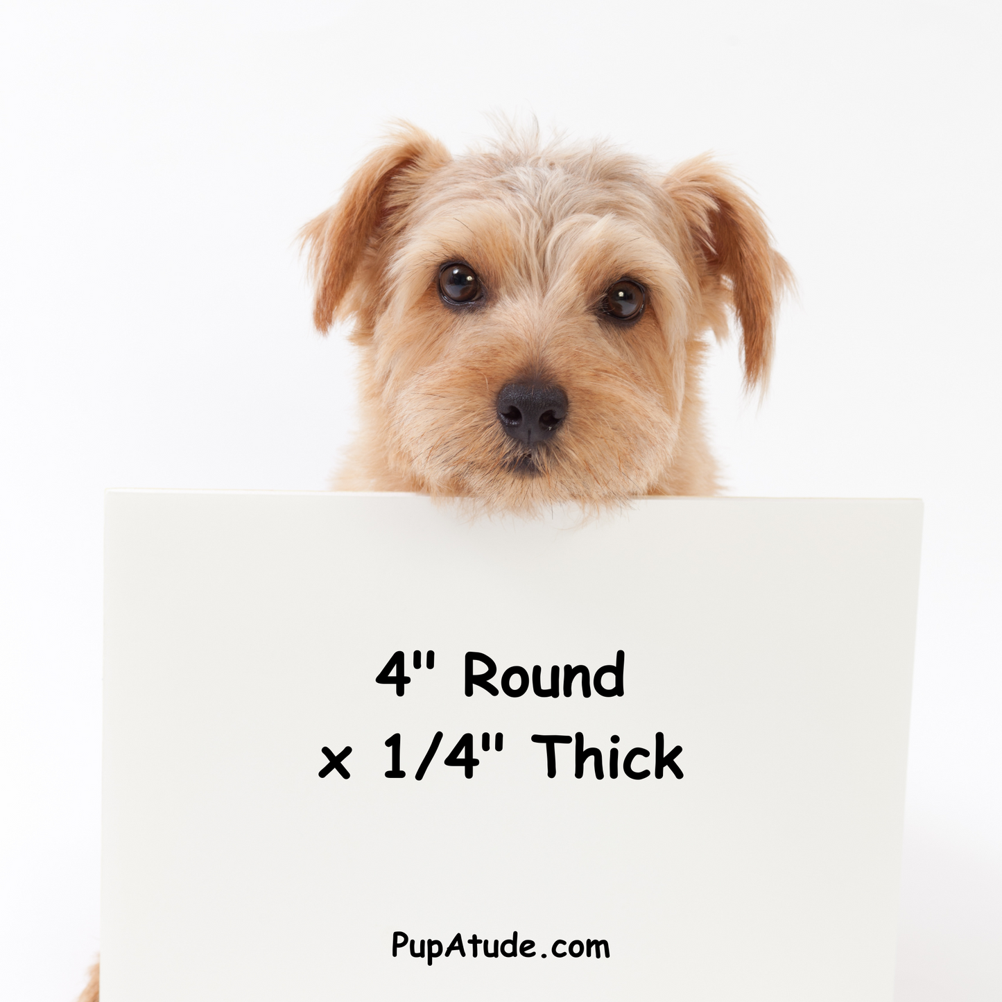 "I Just Want to Drink Wine and Pet My Dog - Set of 6 Wooden Drink Coasters with Holder"